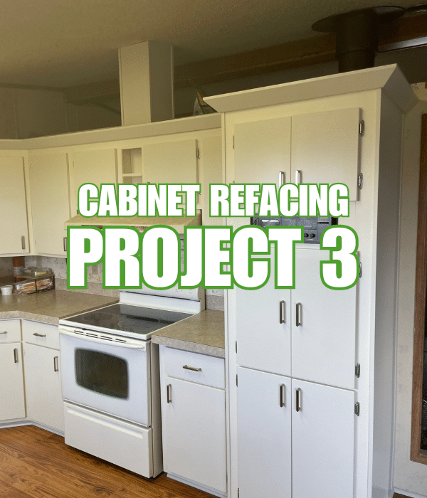 cabinet refacing-project 3