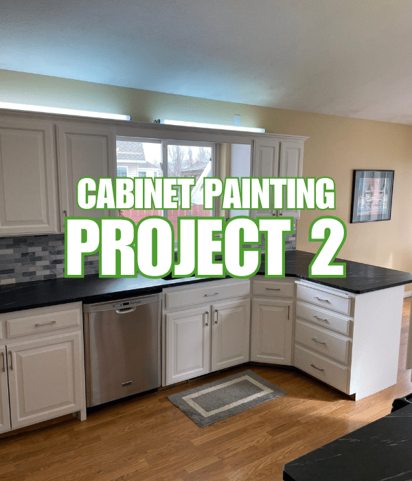 Cabinet Painting Project 2