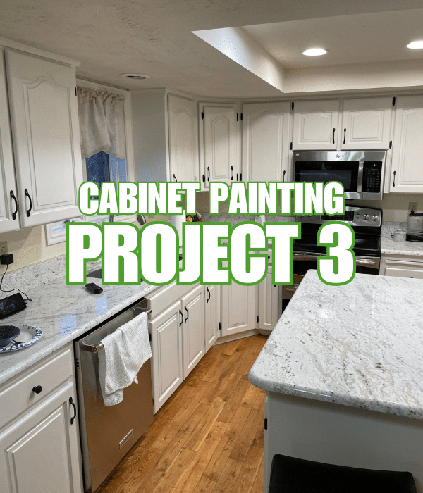 cabinet painting project 3